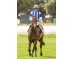  Carrera: P.Rheffissimo Caballo: Scholarship Monta: R.Sousa